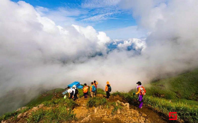 登山团建活动新闻稿